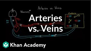 Arteries vs veinswhats the difference  Circulatory system physiology  NCLEXRN  Khan Academy [upl. by Eniamrahs]