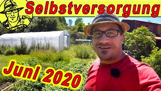 Der SelbstversorgerGarten im Juni 2020 Mit Hochbeet HühnernPuten Gewächshaus und allen Pflanzen [upl. by Angelique]