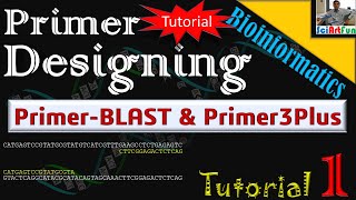 Primer Designing  Using PrimerBlast or Primer3Plus  Tutorial 1 [upl. by Onilecram]