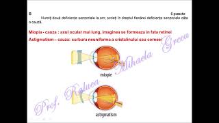 TEST 1 REZOLVAT  BACALAUREAT BIOLOGIE 2021  BIOLOGIE VEGETALA SI ANIMALA [upl. by Findlay]