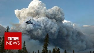 Alberta wildfire Emergency declared in Fort McMurray  BBC News [upl. by Samoht70]