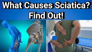 What is Sciatica Discover the Truth Behind the Pain [upl. by Ellohcin]