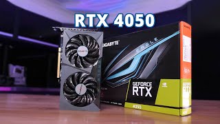 NVIDIA GeForce RTX 4050  New Budget King [upl. by Priebe]