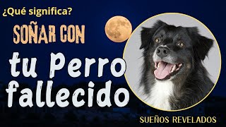 Que significa SOÑAR con tu PERRO FALLECIDO  SIignificado de los SUEÑOS [upl. by Ynogoham608]