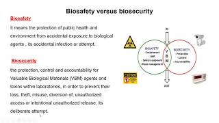 LAB Notes  Biosafety 101 Tip 2 Organize and Establish a Proper Workflow  Esco Scientific [upl. by Linell]