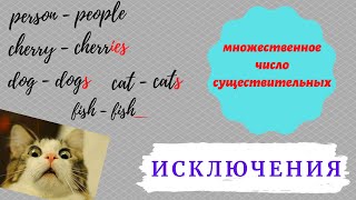 12 МНОЖЕСТВЕННОЕ ЧИСЛО  Исключения  Исчисляемые существительные  Learn English  домавместе [upl. by Neumark]