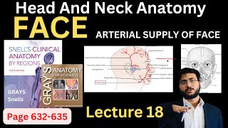 Face  Arterial Supply  Head and Neck Anatomy  headandneckanatomy  Snells [upl. by Nerhe825]