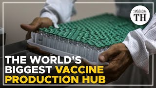 Inside the worlds biggest vaccine production hub [upl. by Aehcim464]