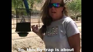 The Ranch Fly Trap  Ultimate Farm Review [upl. by Oeram903]