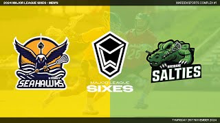 Sydney Seahawks v Brisbane Salties  2024 Major League Sixes  Mens [upl. by Ricketts]