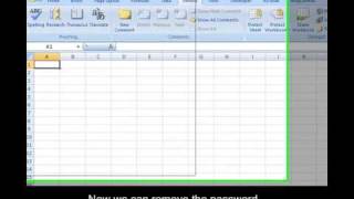 How to remove a password protected and shared excel file in Excel 2007 [upl. by Petersen]