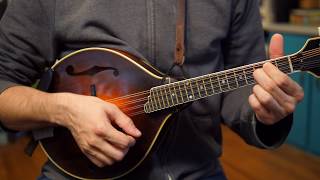 Beginner Mandolin Lessons Series Part Two First Chords [upl. by Lebasy841]