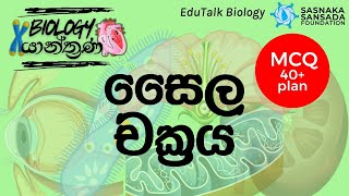 සෛල චක්‍රය  Cell cycle  EduTalk Biology [upl. by Yednarb]