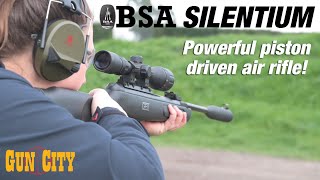 BSA Comet Evo Silentium Air Rifle  Review Backyard Bash [upl. by Nive]