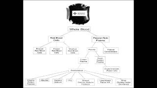 Blood Transfusion Therapy  Packed RBCs Platelets Fresh Frozen Plasma amp Cryoprecipitate [upl. by Naeruat]