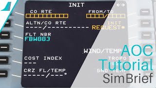 FBW ToolTips  SimBrief Tutorial [upl. by Cher]