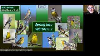 Bird Bombs  Spring Into Warblers 2 MAY 2024 [upl. by Aihsele]