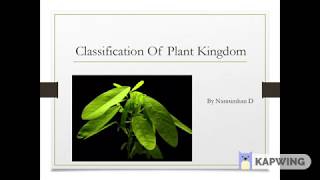 Classification Of Plants  Tamil [upl. by Ojybbob]