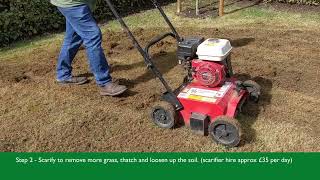 Preparing and sowing wild flowers on an existing lawn [upl. by Nehte]