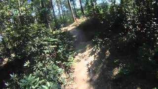 Jurassic Park XC Loop Part 5 Bedgebury Mountain Bike Trail Centre Kent [upl. by Asiram]