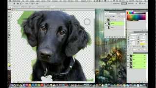 Adobe Photoshop CS5 Tutorial  How to Remove A background From an Image [upl. by Elohc973]