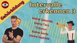 GEHÖRBILDUNG  INTERVALLE 3 Kleine Intervalle und der Tritonus [upl. by Sukramal]