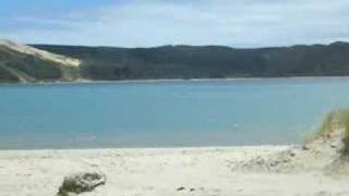 Paihia Haruru Falls And The Drive To Hokianga Harbour [upl. by Triny]