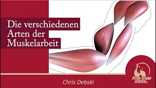 Die verschiedenen Arten der Muskelarbeit  Onlinekurs Pferdeanatomie [upl. by Wenger506]