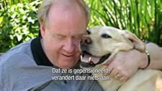 Blindengeleidehond redde baas uit Twin Towers [upl. by Siramaj]