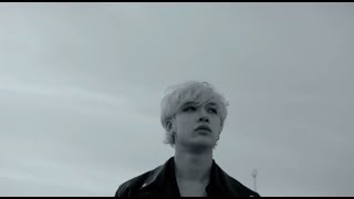 Stray Kids quotChronosaurusquot FMV [upl. by Oigroig]