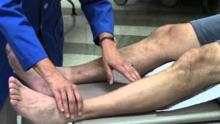 Peripheral vascular system assessment [upl. by Aniretake]