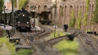 Beautiful Dutch Model Train Layout in HO Gauge with Field Railway [upl. by Ahseral]