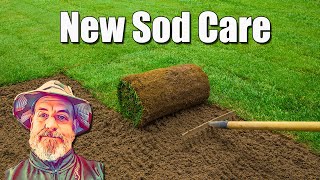 New Sod Lawn Care [upl. by Fessuoy773]