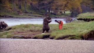 John West Advert  Pink Salmon Caught By Bear  Advert Commercial [upl. by Henricks]