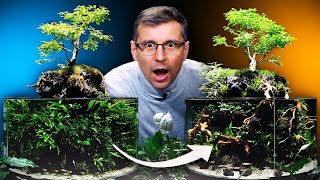 Step By Step making a bonsai tree for Aquascaping [upl. by Llyrad841]