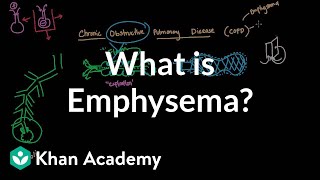 What is emphysema  Respiratory system diseases  NCLEXRN  Khan Academy [upl. by Azalea]