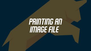 Bullzip Printing an image [upl. by Bourke860]