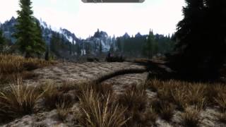 Skyrim  Depth of Field [upl. by Coonan]