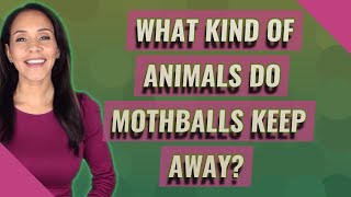 What kind of animals do mothballs keep away [upl. by Solrac439]