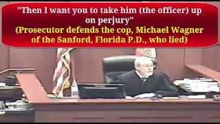 Seminole County Judge Fred Schott Overturns DUI Jury Verdict [upl. by Buff]