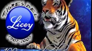 Toño Rosario Licey Acabo con to [upl. by Codel6]