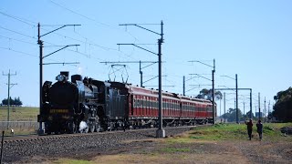 Steamrails Watergarden Shuttles [upl. by Trelu854]