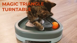 Magic Triangle Turntable Cat Toy Review [upl. by Hubing]