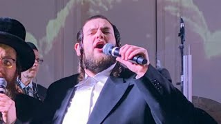 Shmueli Ungar Live Bitchu [upl. by Rettuc]