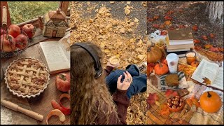 autumn videos to get the fall vibes  tiktok compilation [upl. by Nemraciram]