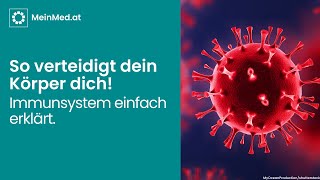 Das Immunsystem einfach erklärt [upl. by Phene]