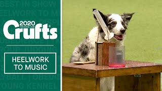 Freestyle Heelwork To Music  Part 1  Crufts 2020 [upl. by Stevena864]