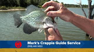 Winter Crappie Fishing [upl. by Adnileb]