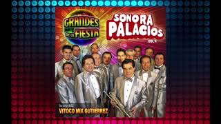 Sonora Palacios  Grandes de la fiesta [upl. by Attennod679]