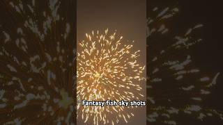 Fantasy fish sky shots indore diwali sonycrackers india sonyfireworks viral [upl. by Etnom]